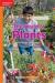 The World of Plants