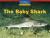 Windows on Literacy Emergent (Science: Life Science): The Baby Shark