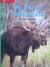 Reading Wonders Leveled Reader My Trip to Yellowstone: Beyond Unit 8 Week 2 Grade K