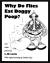 Why Do Flies Eat Doggy Poop? And Other Poems
