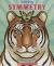 Seeing Symmetry