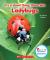 It's a Good Thing There are Ladybugs