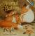Animal Babies