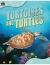 Tortoises and Turtles