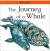 Journey of a Whale