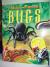 Bugs