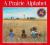 Social Studies Through Literature: A prairie alphabet