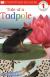 Tale of a Tadpole