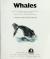 Whales