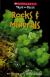 Rocks and Minerals