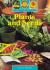 Sunshine, Plants and Seeds, 6-pack NF, 6-pack