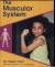 The Muscular System