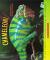 Chameleon!
