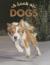 A Look at Dogs
