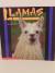 Llamas