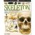 Skeleton