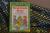 First Grade Elves (First Grade Is the Best! Series)