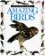 Amazing Birds