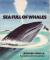 Sea Full of Whales