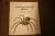 Amazing World of Spiders (Learn-About Books)