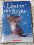 Lost in the Snow