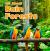 All about Rain Forests