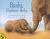 Bashi, Elephant Baby