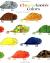 Chameleon's Colors