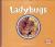 Ladybugs