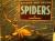 Outside and Inside Spiders