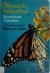 Monarch Butterflies Mysterious Travelers
