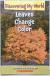 Leaves Change Color
