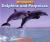 Dolphins and Porpoises