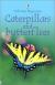 Caterpillars and Butterflies