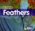 Feathers