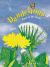 Dandelions Stars in the Grass