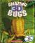 Amazing 3D Bugs
