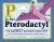 P Is for Pterodactyl The Worst Alphabet Book Ever