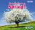 What Can You See in Spring?