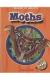 Moths (Blastoff! Readers: World Of Insects)