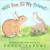 Will You be My Friend? A Bunny and Bird Story