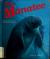 The Manatee