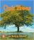 Oak Trees [Big Book]