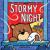 Stormy Night