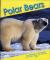 Polar Bears