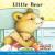 Little Bear