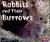 Rabbits and Their Burrows