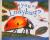 Reading Mastery - Are You a Ladybug?