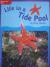 Reading Wonders Leveled Reader Life in a Tide Pool: ELL Unit 4 Week 3 Grade 3