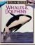 Whales & Dolphins
